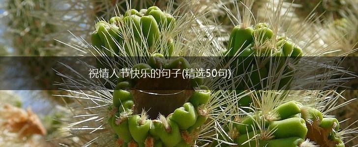 祝情人节快乐的句子(精选50句),第1张