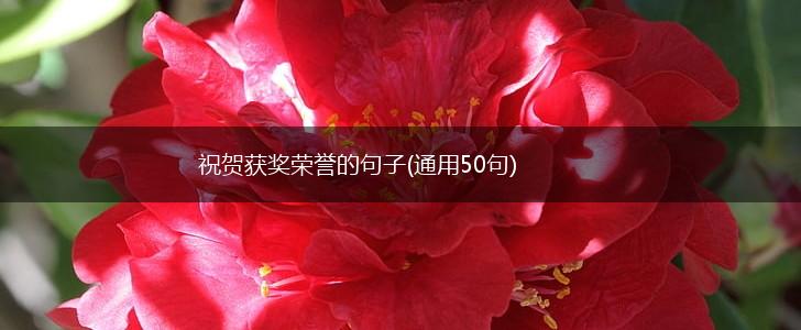 祝贺获奖荣誉的句子(通用50句),第1张