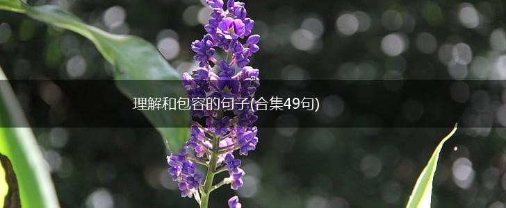 理解和包容的句子(合集49句),第1张