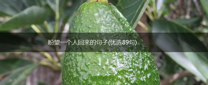 盼望一个人回来的句子(优选89句),第1张
