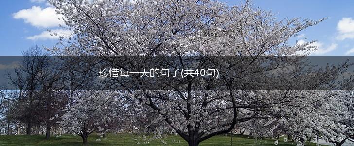 珍惜每一天的句子(共40句),第1张