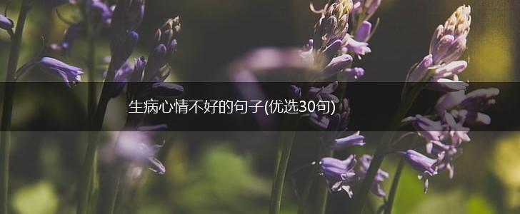 生病心情不好的句子(优选30句),第1张
