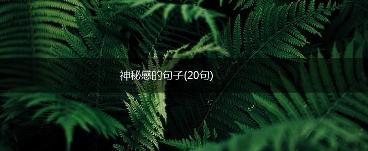 神秘感的句子(20句),第1张