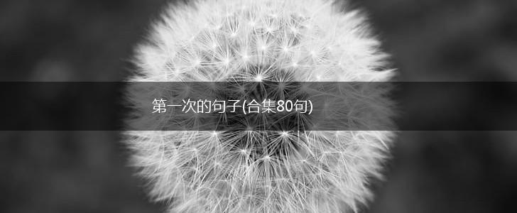 第一次的句子(合集80句),第1张
