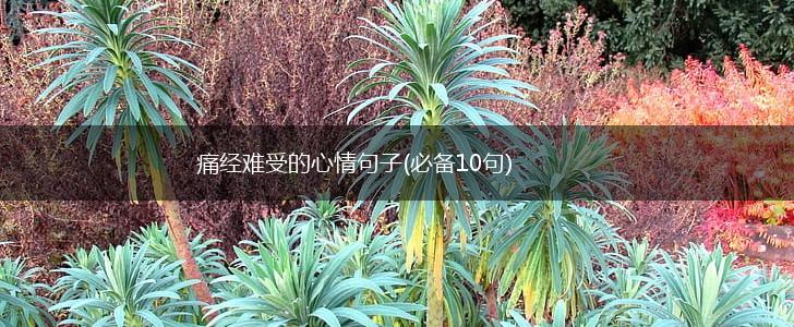 痛经难受的心情句子(必备10句),第1张
