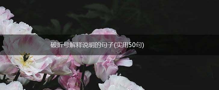 破折号解释说明的句子(实用50句),第1张