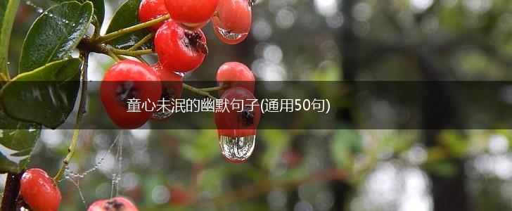 童心未泯的幽默句子(通用50句),第1张