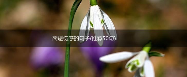 简短伤感的句子(推荐50句),第1张