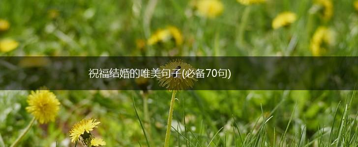 祝福结婚的唯美句子(必备70句),第1张