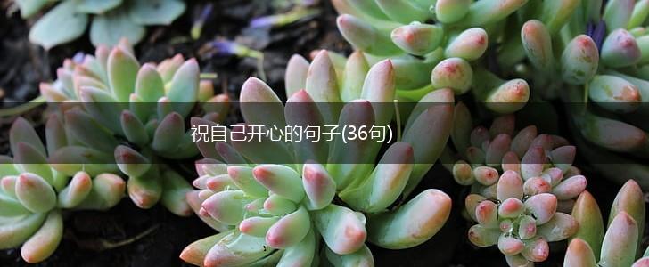 祝自己开心的句子(36句),第1张