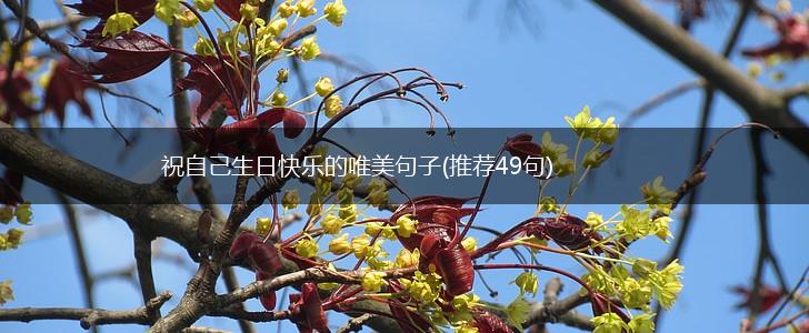 祝自己生日快乐的唯美句子(推荐49句),第1张