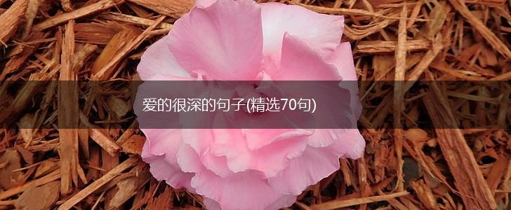 爱的很深的句子(精选70句),第1张