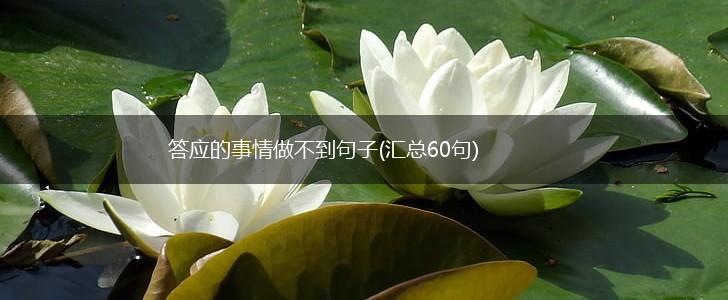答应的事情做不到句子(汇总60句),第1张