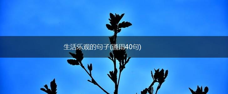 生活乐观的句子(通用40句),第1张