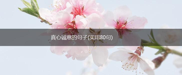 真心诚意的句子(实用80句),第1张