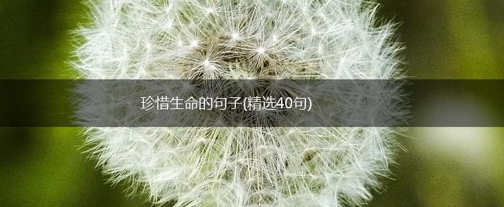 珍惜生命的句子(精选40句),第1张