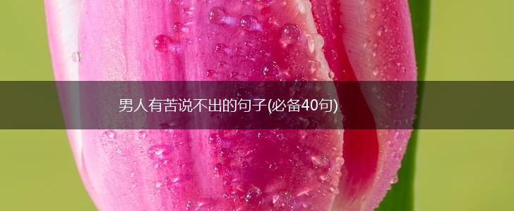 男人有苦说不出的句子(必备40句),第1张