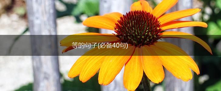 等的句子(必备40句),第1张
