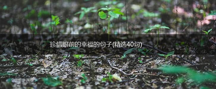 珍惜眼前的幸福的句子(精选40句),第1张