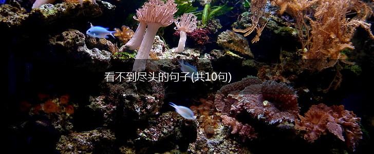 看不到尽头的句子(共10句),第1张