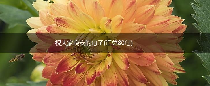 祝大家晚安的句子(汇总80句),第1张