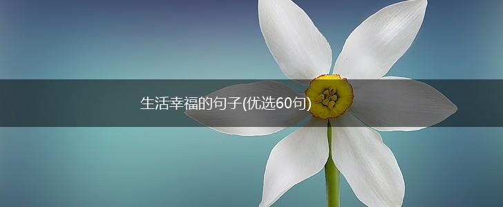 生活幸福的句子(优选60句),第1张