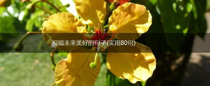祝福未来美好的句子(实用80句),第1张