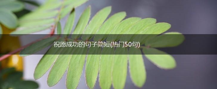 祝愿成功的句子简短(热门50句),第1张