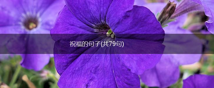祝福的句子(共79句),第1张