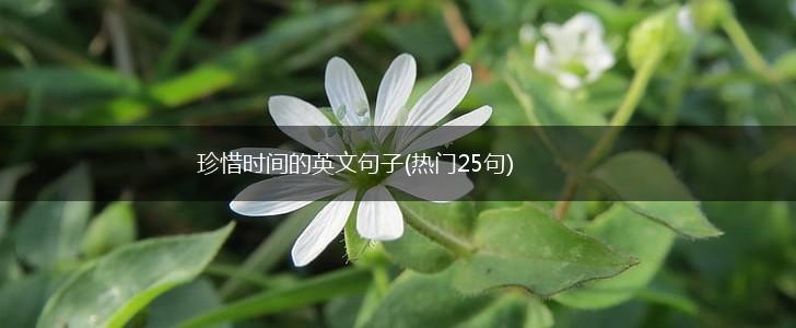 珍惜时间的英文句子(热门25句),第1张