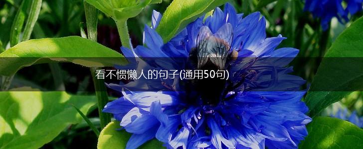 看不惯懒人的句子(通用50句),第1张