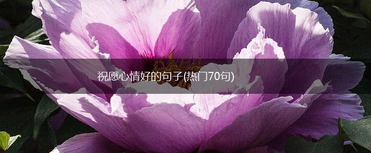 祝愿心情好的句子(热门70句),第1张