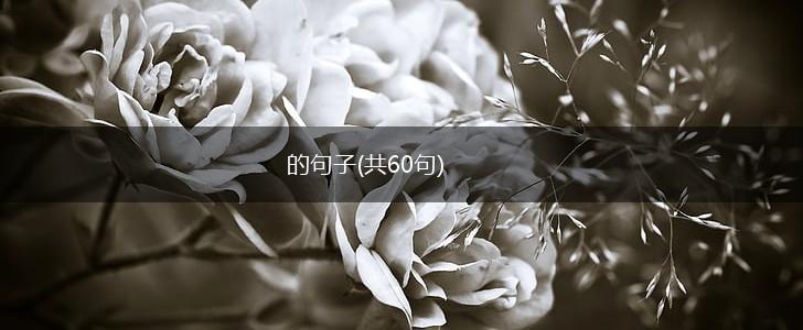 的句子(共60句),第1张