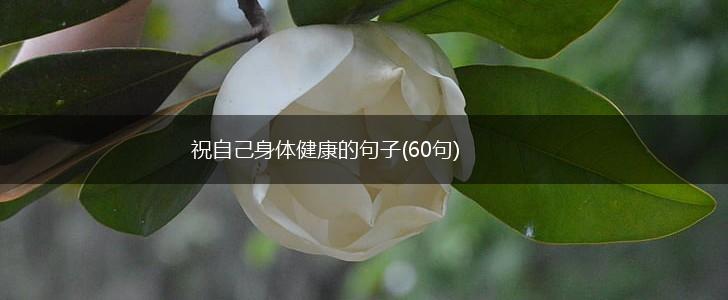 祝自己身体健康的句子(60句),第1张