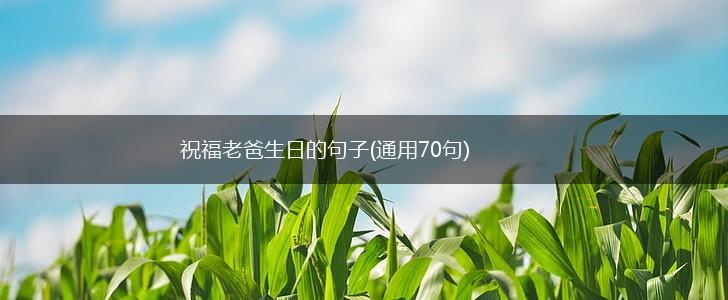 祝福老爸生日的句子(通用70句),第1张