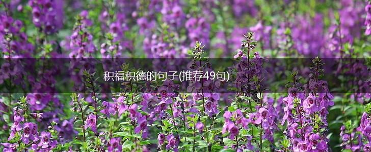 积福积德的句子(推荐49句),第1张