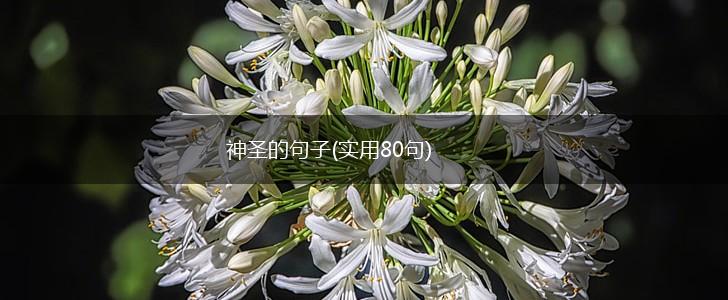神圣的句子(实用80句),第1张