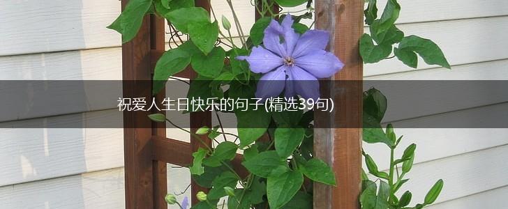 祝爱人生日快乐的句子(精选39句),第1张