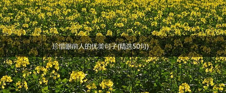 珍惜眼前人的优美句子(精选50句),第1张