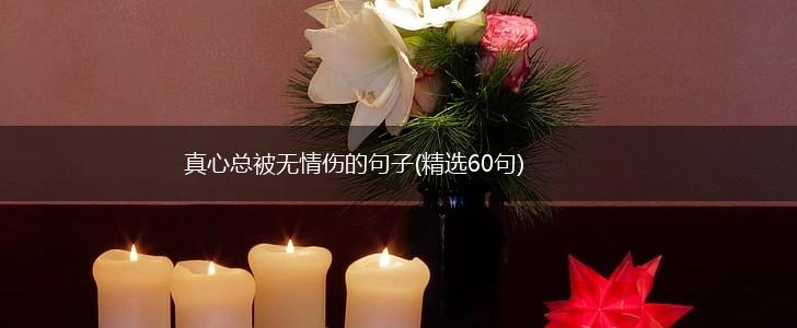 真心总被无情伤的句子(精选60句),第1张