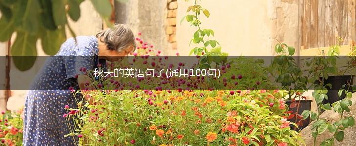 秋天的英语句子(通用100句),第1张