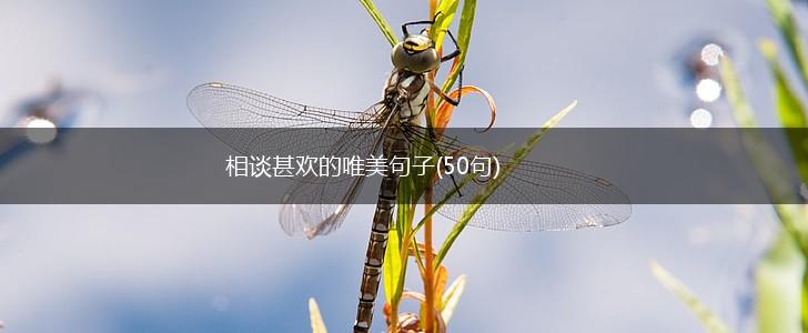 相谈甚欢的唯美句子(50句),第1张