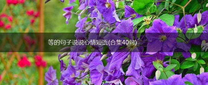等的句子说说心情短语(合集40句),第1张