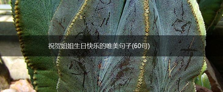 祝贺姐姐生日快乐的唯美句子(60句),第1张