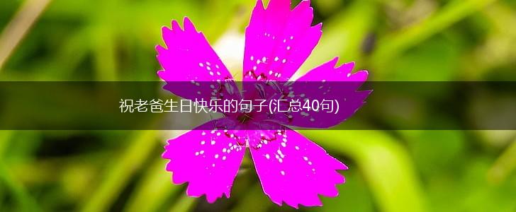 祝老爸生日快乐的句子(汇总40句),第1张