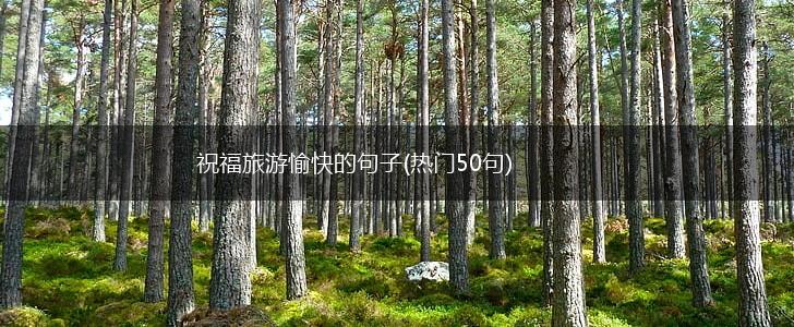 祝福旅游愉快的句子(热门50句),第1张