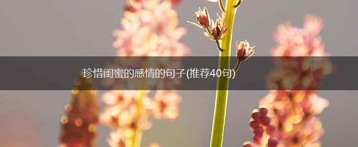 珍惜闺蜜的感情的句子(推荐40句),第1张