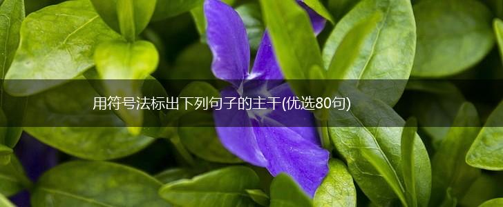 用符号法标出下列句子的主干(优选80句),第1张