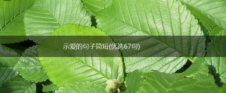 示爱的句子简短(优选67句),第1张