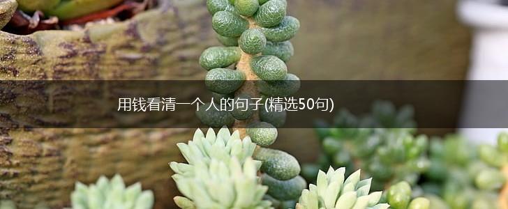 用钱看清一个人的句子(精选50句),第1张